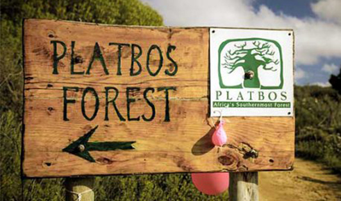 Platbos Forest